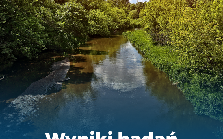 Galeria zdjęć